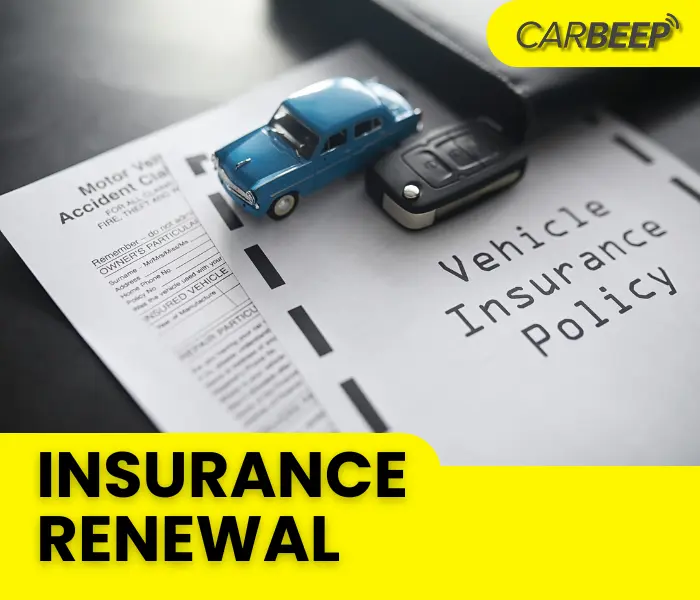Insurance renewal service artwork